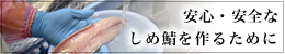 安心・安全なしめ鯖を作るために