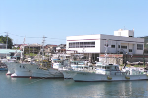 中型旋網業